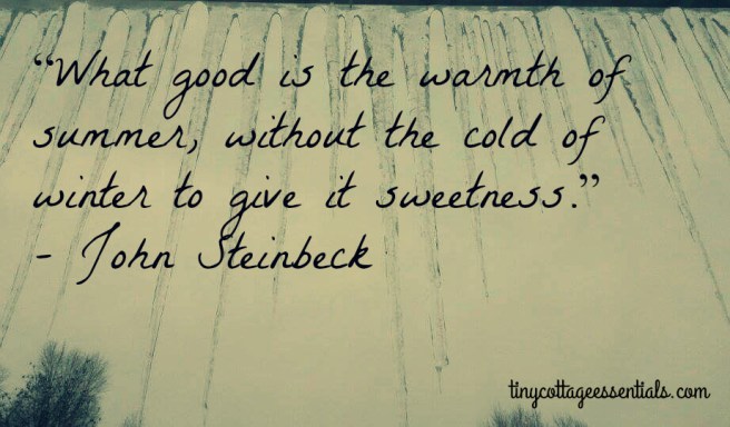 steinbeck-quote