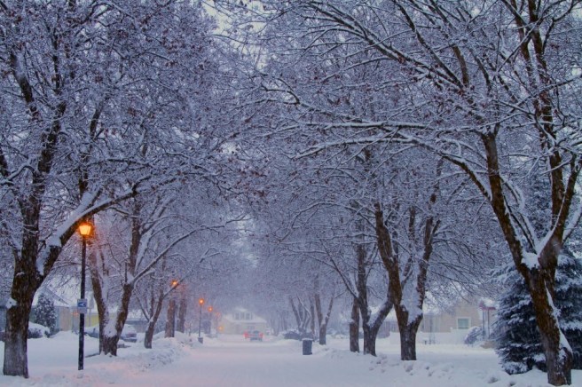 bea1ee98017aa7d0437200d5fdb203cc